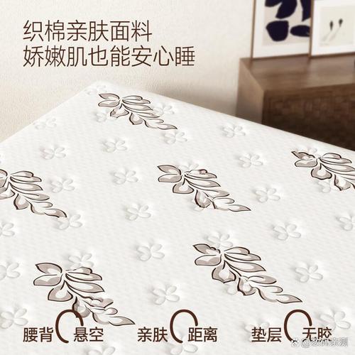 山棕床垫牌子哪个质量最好: 真实评测与消费者反馈